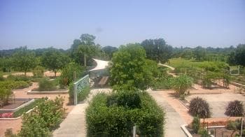 Weather camera view of Houston Botanic Garden.