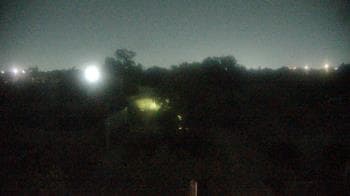 Weather camera view of Houston Botanic Garden.
