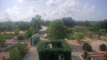 Weather camera view of Houston Botanic Garden.