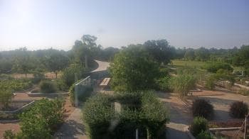 Weather camera view of Houston Botanic Garden.