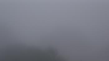 Weather camera view of Camp For All.