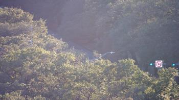 Weather camera view of Hotel ZaZa.