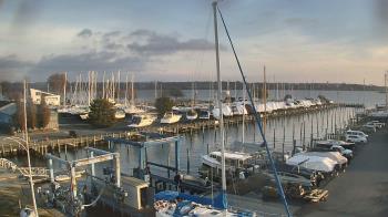 Weather camera view of Tidewater Marina.