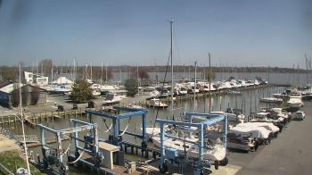 Weather camera view of Tidewater Marina.