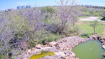 Weather camera view of Elise Walker Outdoor Learning Center.