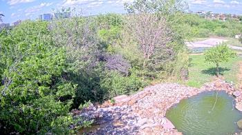 Weather camera view of Elise Walker Outdoor Learning Center.