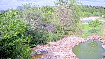 Weather camera view of Elise Walker Outdoor Learning Center.