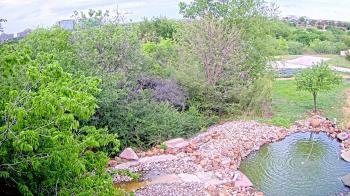 Weather camera view of Elise Walker Outdoor Learning Center.