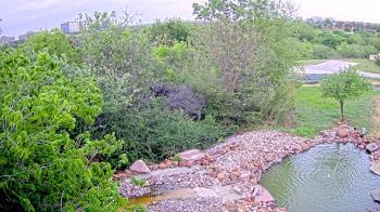 Weather camera view of Elise Walker Outdoor Learning Center.