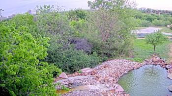 Weather camera view of Elise Walker Outdoor Learning Center.