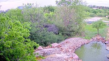 Weather camera view of Elise Walker Outdoor Learning Center.