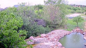 Weather camera view of Elise Walker Outdoor Learning Center.