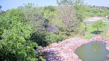 Weather camera view of Elise Walker Outdoor Learning Center.