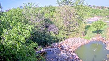 Weather camera view of Elise Walker Outdoor Learning Center.