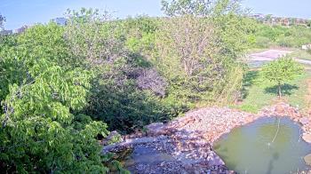Weather camera view of Elise Walker Outdoor Learning Center.