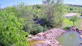 Weather camera view of Elise Walker Outdoor Learning Center.