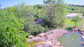 Weather camera view of Elise Walker Outdoor Learning Center.