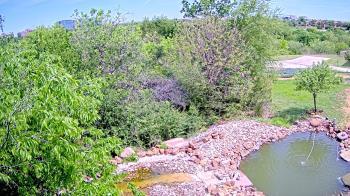 Weather camera view of Elise Walker Outdoor Learning Center.