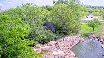 Weather camera view of Elise Walker Outdoor Learning Center.
