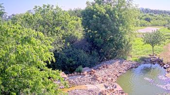 Weather camera view of Elise Walker Outdoor Learning Center.