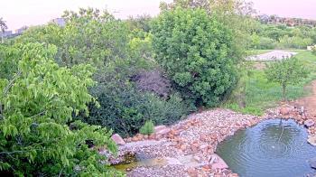 Weather camera view of Elise Walker Outdoor Learning Center.