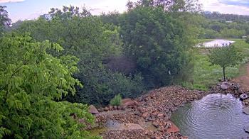 Weather camera view of Elise Walker Outdoor Learning Center.