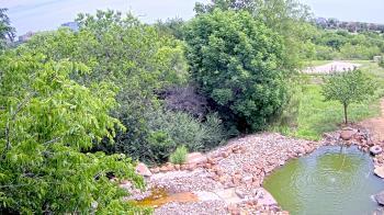 Weather camera view of Elise Walker Outdoor Learning Center.