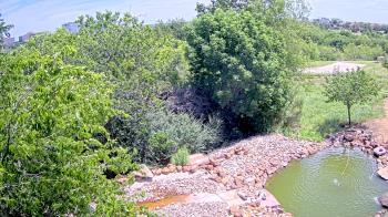 Weather camera view of Elise Walker Outdoor Learning Center.