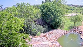Weather camera view of Elise Walker Outdoor Learning Center.