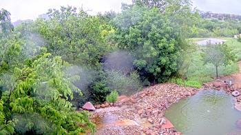 Weather camera view of Elise Walker Outdoor Learning Center.