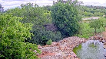 Weather camera view of Elise Walker Outdoor Learning Center.