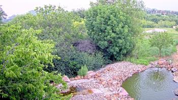 Weather camera view of Elise Walker Outdoor Learning Center.