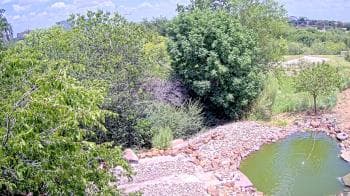 Weather camera view of Elise Walker Outdoor Learning Center.