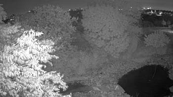Weather camera view of Elise Walker Outdoor Learning Center.