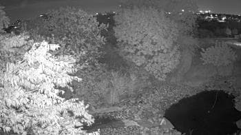 Weather camera view of Elise Walker Outdoor Learning Center.