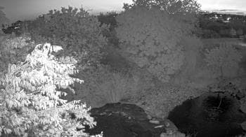 Weather camera view of Elise Walker Outdoor Learning Center.