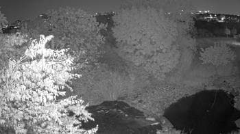 Weather camera view of Elise Walker Outdoor Learning Center.