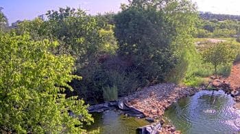 Weather camera view of Elise Walker Outdoor Learning Center.