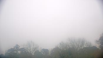 Weather camera view of Kenly NC.