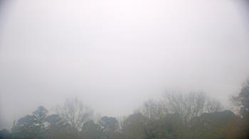 Weather camera view of Kenly NC.