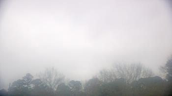 Weather camera view of Kenly NC.