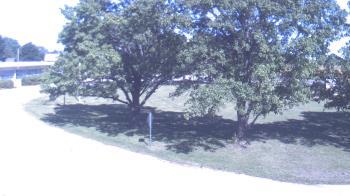 Weather camera view of Goessel ES.