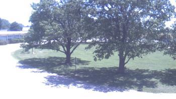 Weather camera view of Goessel ES.