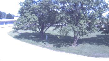 Weather camera view of Goessel ES.