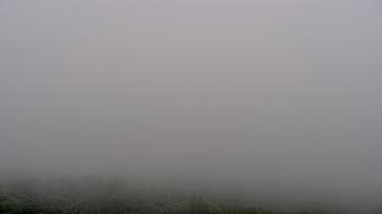 Weather camera view of KISR FM.