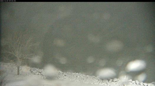 Weather camera view of Carthage College.