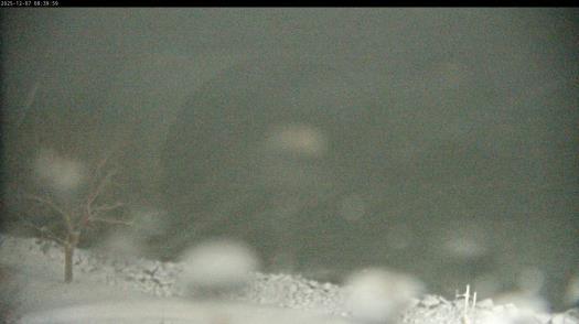 Weather camera view of Carthage College.