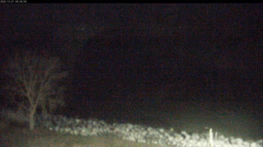 Weather camera view of Carthage College.