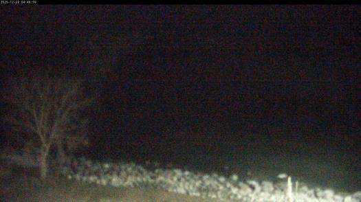 Weather camera view of Carthage College.