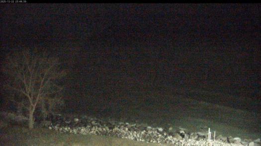 Weather camera view of Carthage College.